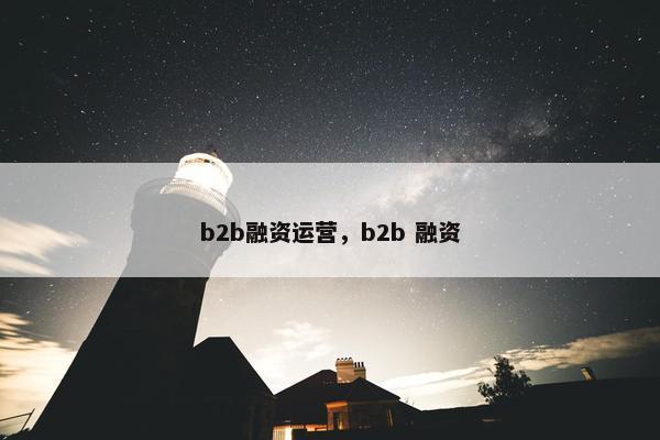 b2b融资运营，b2b 融资