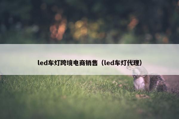 led车灯跨境电商销售（led车灯代理）