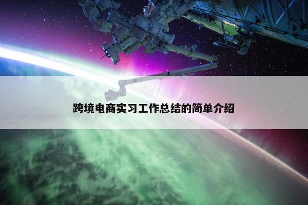 跨境电商实习工作总结的简单介绍