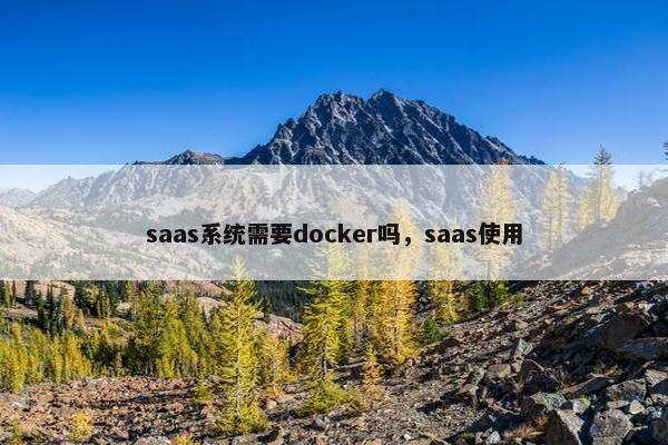 saas系统需要docker吗，saas使用