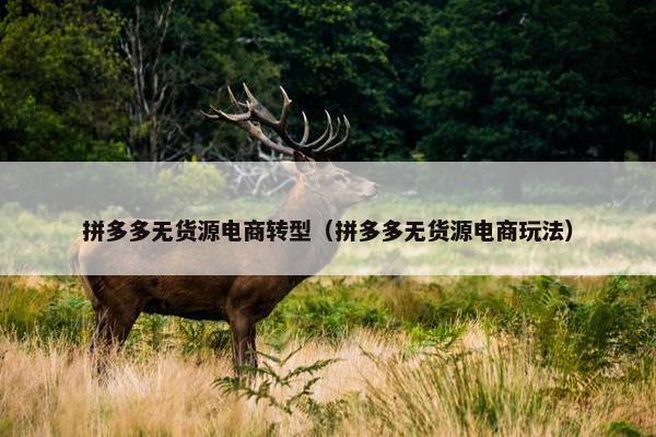 拼多多无货源电商转型（拼多多无货源电商玩法）