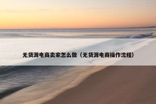 无货源电商卖家怎么做（无货源电商操作流程）