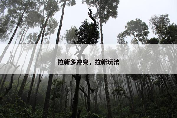 拉新多冲突，拉新玩法
