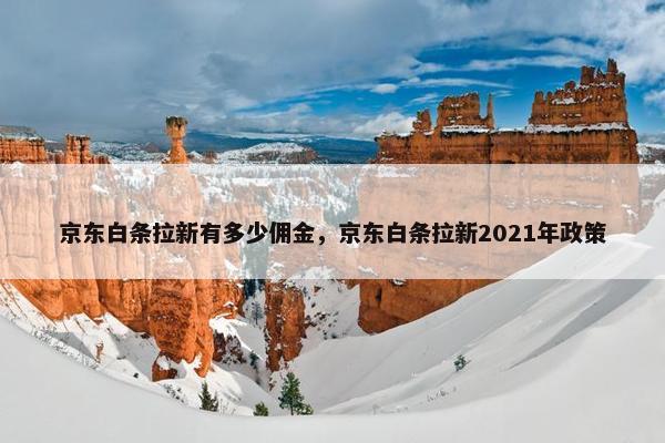 京东白条拉新有多少佣金，京东白条拉新2021年政策