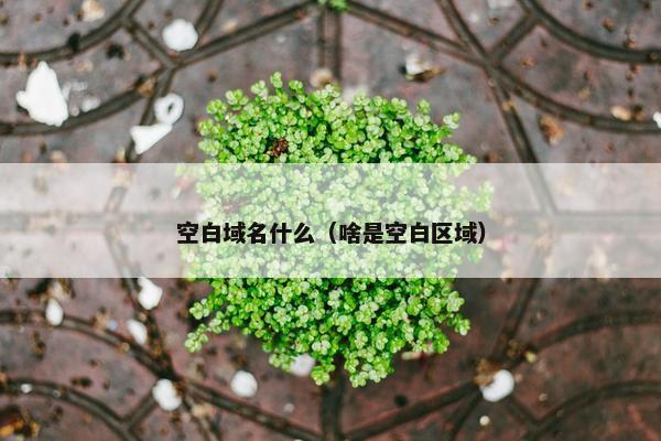 空白域名什么（啥是空白区域）