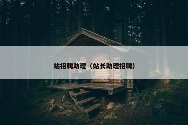 站招聘助理（站长助理招聘）