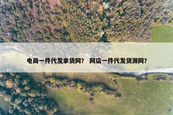 电商一件代发拿货网？ 网店一件代发货源网？