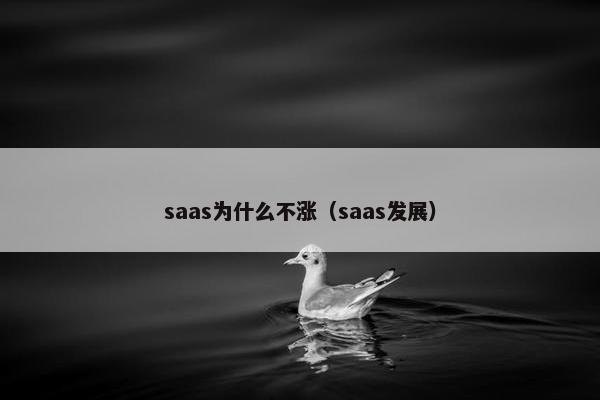 saas为什么不涨（saas发展）