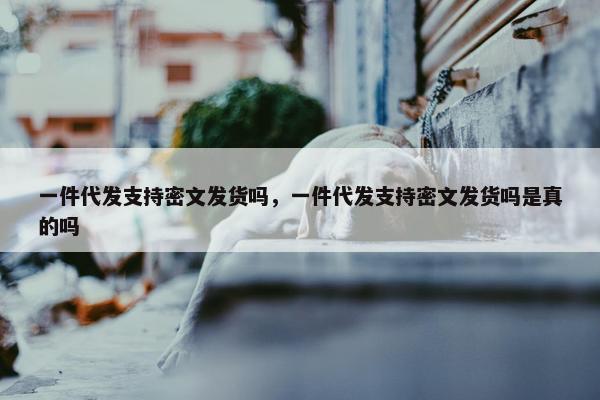 一件代发支持密文发货吗，一件代发支持密文发货吗是真的吗