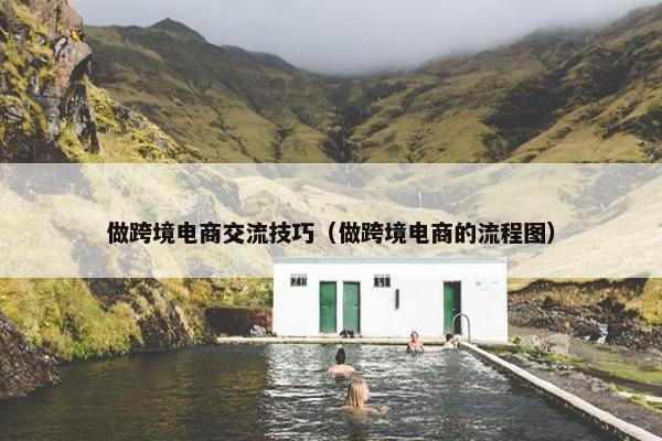 做跨境电商交流技巧（做跨境电商的流程图）