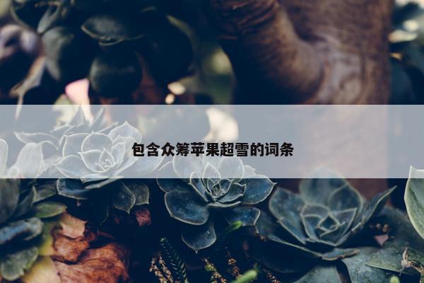 包含众筹苹果超雪的词条