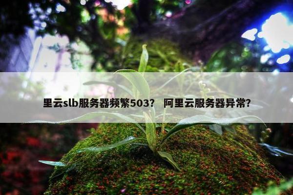 里云slb服务器频繁503？ 阿里云服务器异常？