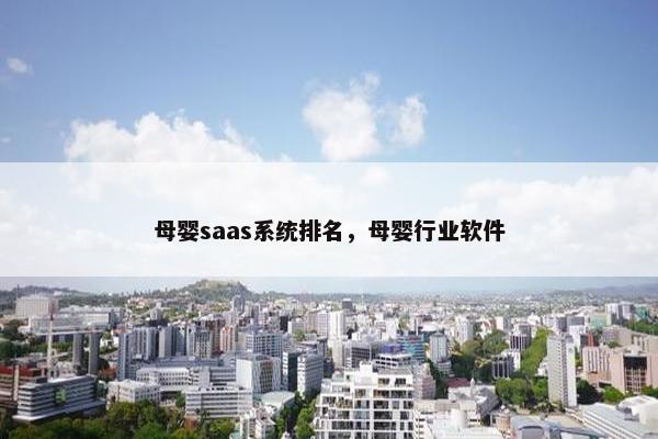 母婴saas系统排名，母婴行业软件
