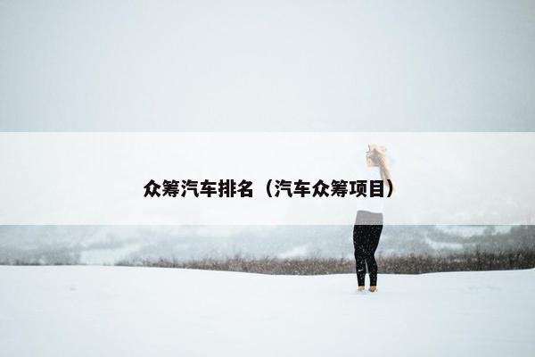 众筹汽车排名（汽车众筹项目）