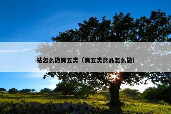 站怎么做黑五类（黑五类食品怎么做）