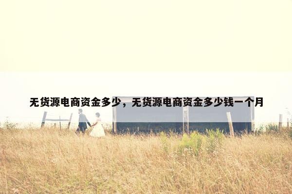 无货源电商资金多少，无货源电商资金多少钱一个月