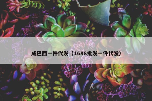 成巴西一件代发（1688批发一件代发）