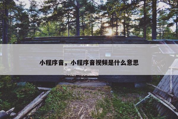 小程序音，小程序音视频是什么意思