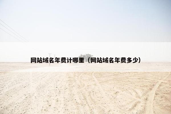 网站域名年费计哪里（网站域名年费多少）