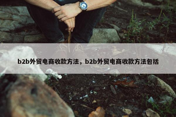 b2b外贸电商收款方法，b2b外贸电商收款方法包括
