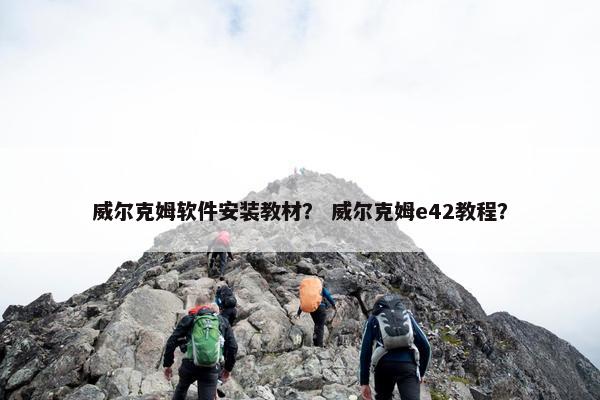 威尔克姆软件安装教材？ 威尔克姆e42教程？
