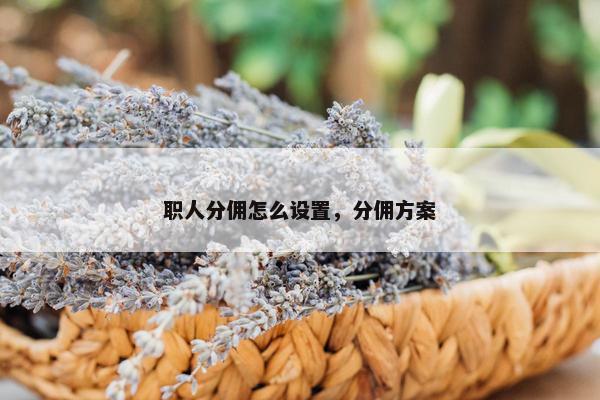 职人分佣怎么设置，分佣方案