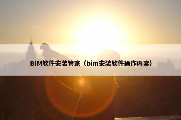 BIM软件安装管家（bim安装软件操作内容）