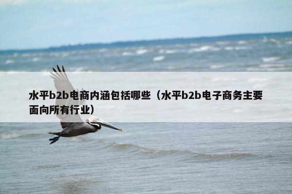 水平b2b电商内涵包括哪些（水平b2b电子商务主要面向所有行业）