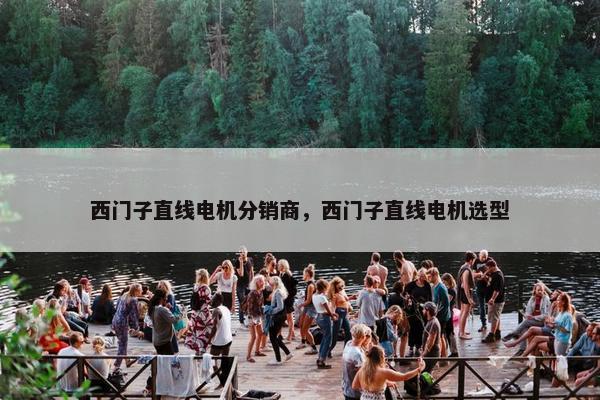 西门子直线电机分销商，西门子直线电机选型