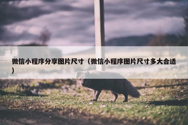 微信小程序分享图片尺寸（微信小程序图片尺寸多大合适）
