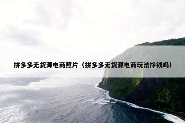 拼多多无货源电商照片（拼多多无货源电商玩法挣钱吗）
