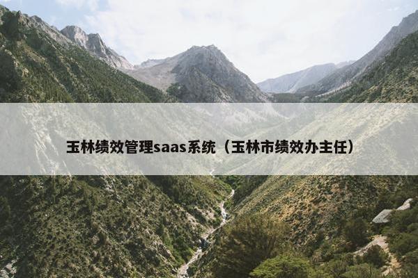 玉林绩效管理saas系统（玉林市绩效办主任）