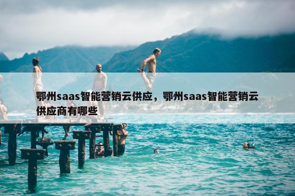 鄂州saas智能营销云供应，鄂州saas智能营销云供应商有哪些