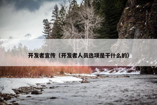 开发者宣传（开发者人员选项是干什么的）