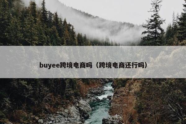 buyee跨境电商吗（跨境电商还行吗）