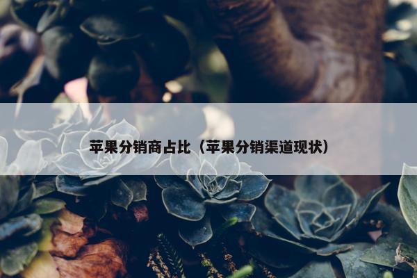 苹果分销商占比（苹果分销渠道现状）