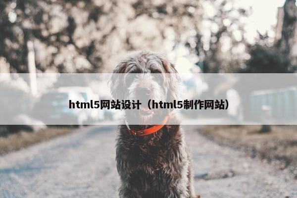 html5网站设计（html5制作网站）