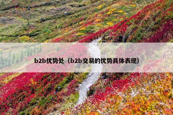 b2b优势处（b2b交易的优势具体表现）