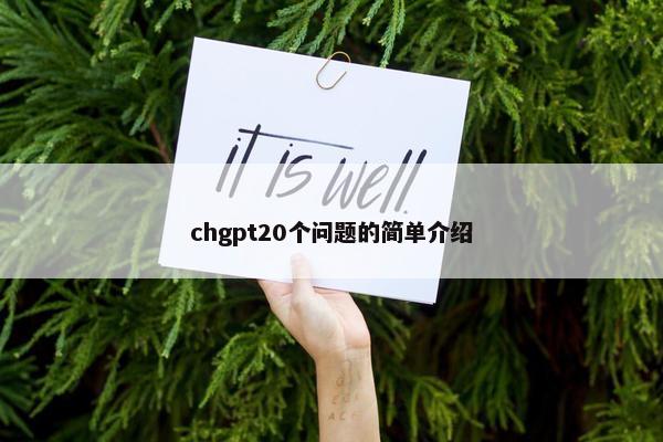 chgpt20个问题的简单介绍