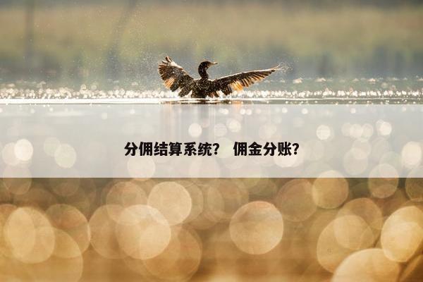 分佣结算系统？ 佣金分账？
