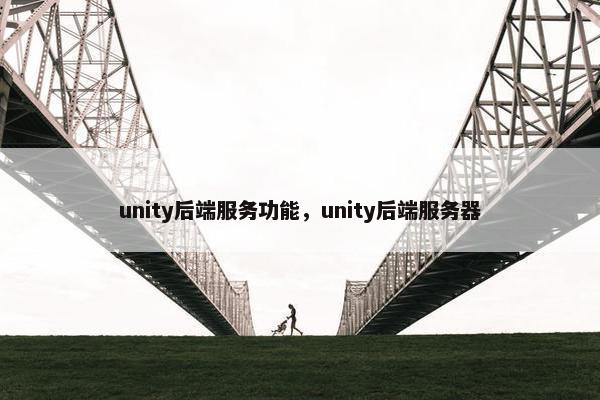 unity后端服务功能，unity后端服务器