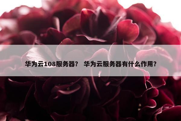 华为云108服务器？ 华为云服务器有什么作用？