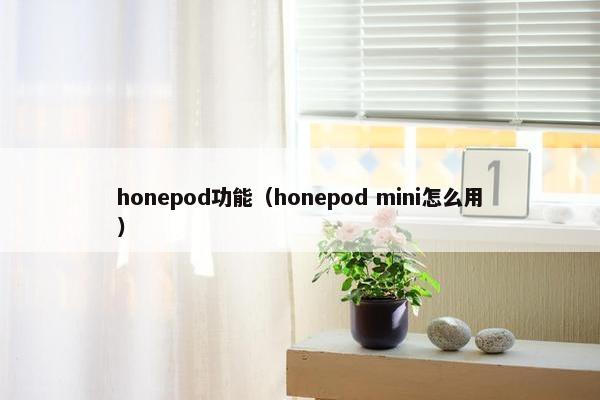 honepod功能（honepod mini怎么用）