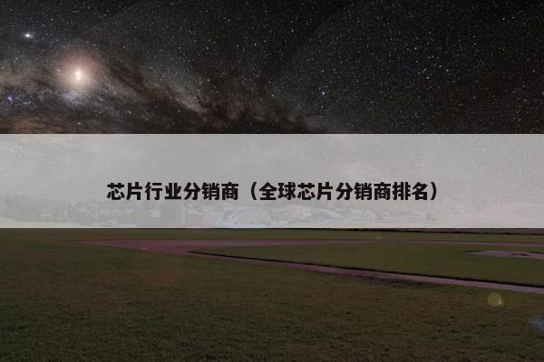 芯片行业分销商（全球芯片分销商排名）