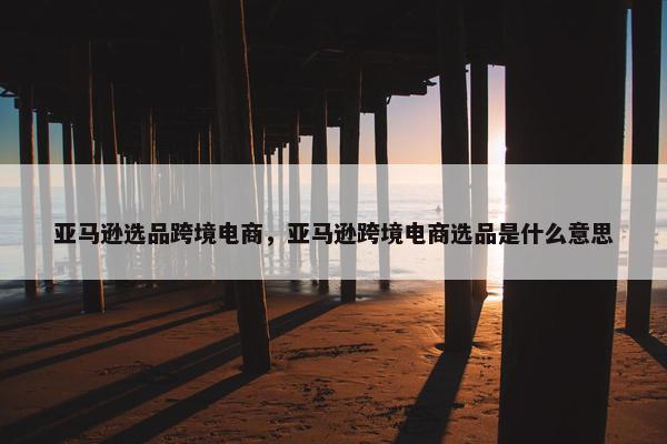 亚马逊选品跨境电商，亚马逊跨境电商选品是什么意思