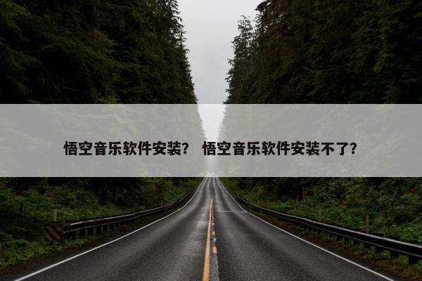悟空音乐软件安装？ 悟空音乐软件安装不了？