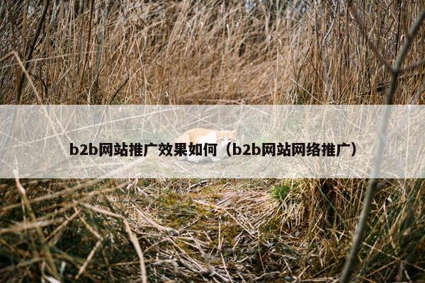 b2b网站推广效果如何（b2b网站网络推广）