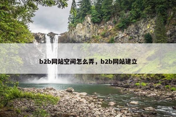 b2b网站空间怎么弄，b2b网站建立