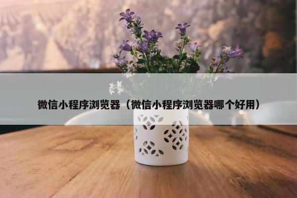 微信小程序浏览器（微信小程序浏览器哪个好用）