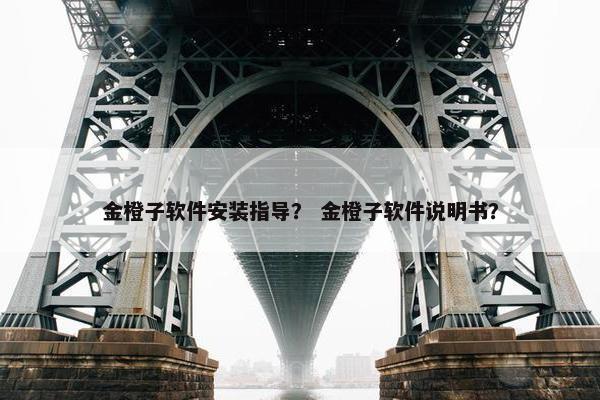 金橙子软件安装指导？ 金橙子软件说明书？